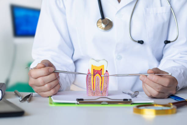 Best Emergency Dental Extractions in Richwood, TX